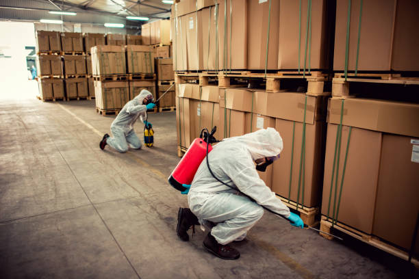 Professional Pest Control in Slater, MO