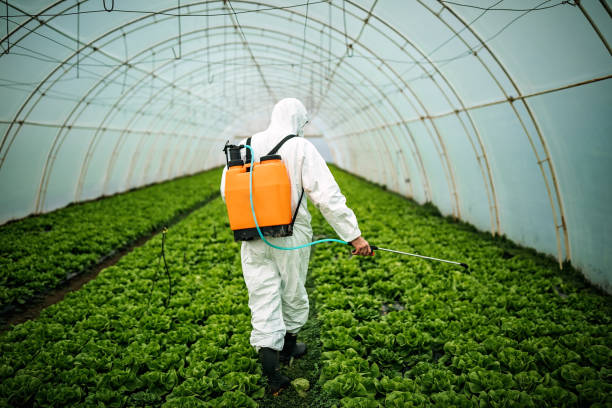 Best Residential Pest Control  in Slater, MO