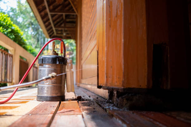 Best Best Pest Control Companies  in Slater, MO