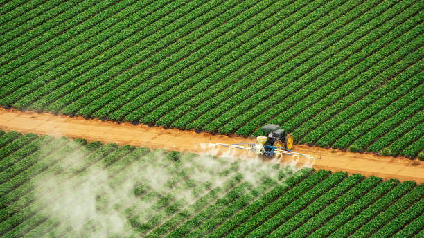 Best Termite Control Services  in Slater, MO