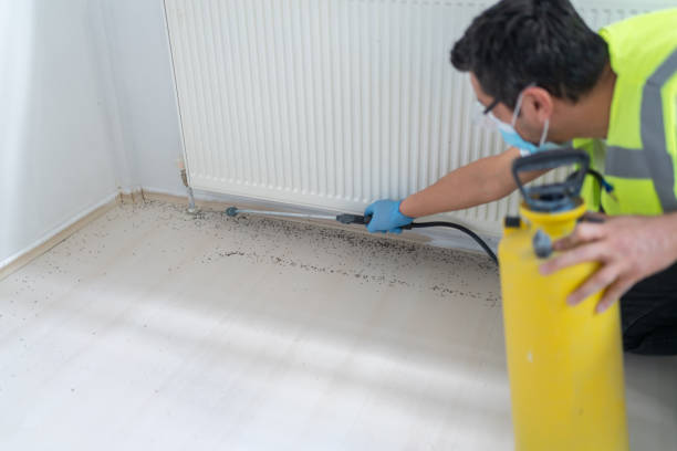 Best Mosquito Control Services  in Slater, MO