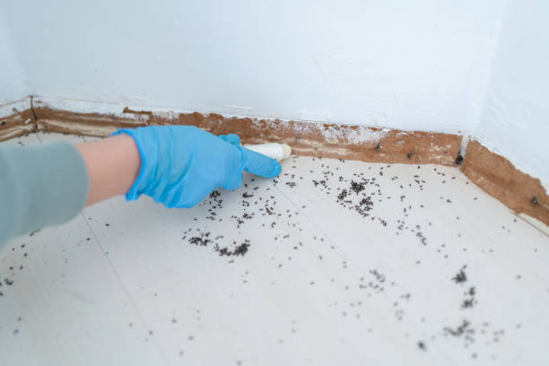 Best Exterminator Services  in Slater, MO