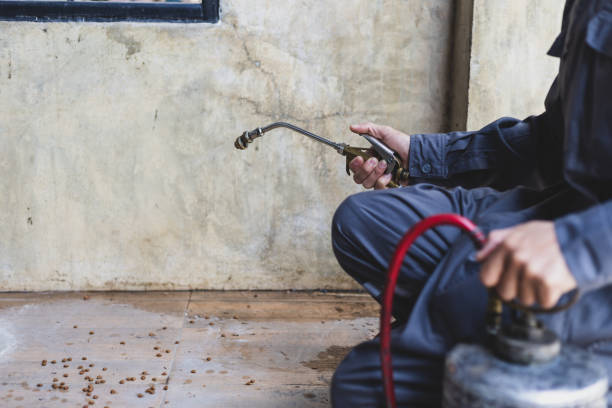 Best Flea Control Services  in Slater, MO